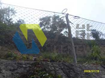 RX-050ͱ(dng)oW(wng)